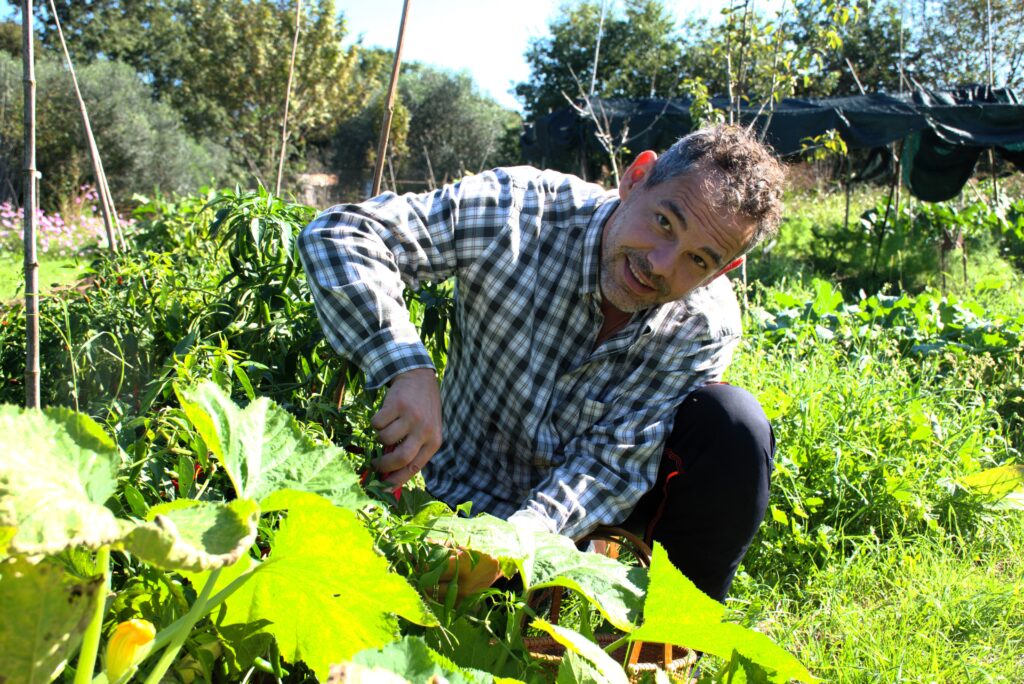 Decolla il Blog Orti di Maremma! 2 Fedrico coltura zucche